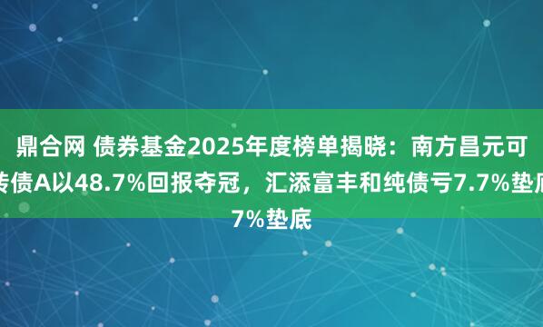 鼎合网 债券基金2025年度榜单揭晓：南方昌元可转债A以48.7%回报夺冠，汇添富丰和纯债亏7.7%垫底