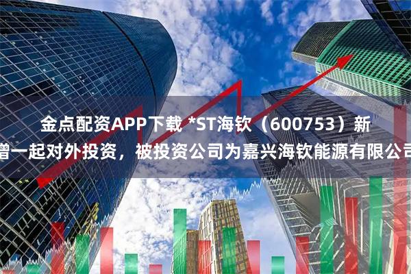 金点配资APP下载 *ST海钦（600753）新增一起对外投资，被投资公司为嘉兴海钦能源有限公司