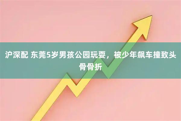 沪深配 东莞5岁男孩公园玩耍，被少年飙车撞致头骨骨折