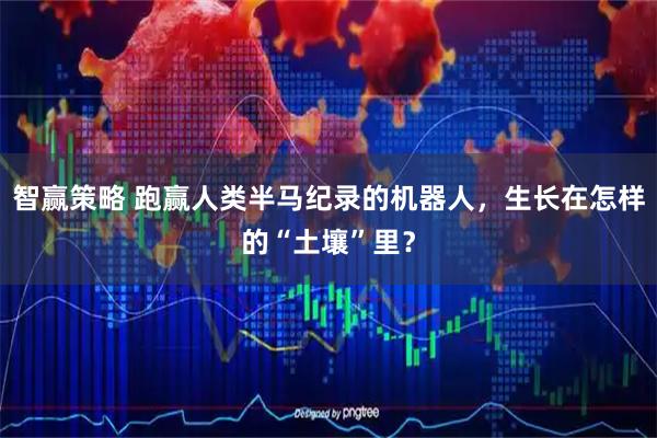 智赢策略 跑赢人类半马纪录的机器人，生长在怎样的“土壤”里？